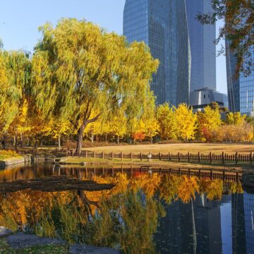 Qué hay en el Parque Ecológico Puebla