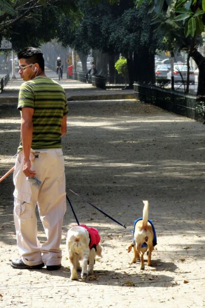¿Qué hacer en la colonia Roma?
