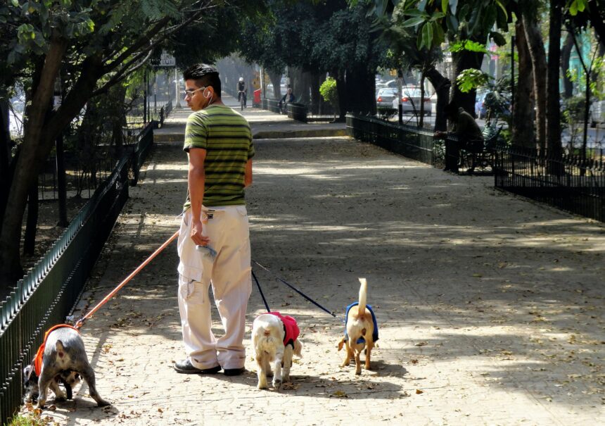 ¿Qué hacer en la colonia Roma?