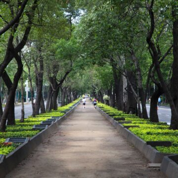 ¿Qué hacer en Chapultepec?