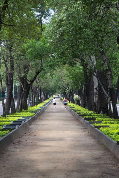 ¿Qué hacer en Chapultepec?