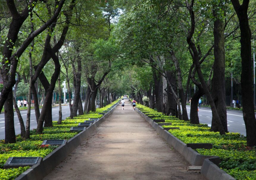 ¿Qué hacer en Chapultepec?