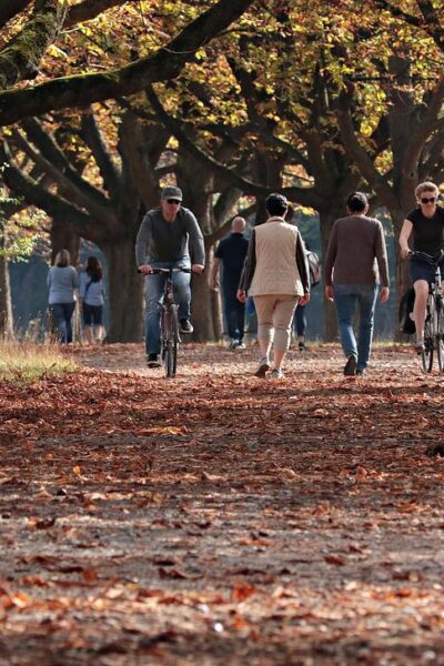 Visita estos 5 maravillosos parques y jardines de Puebla 🌳