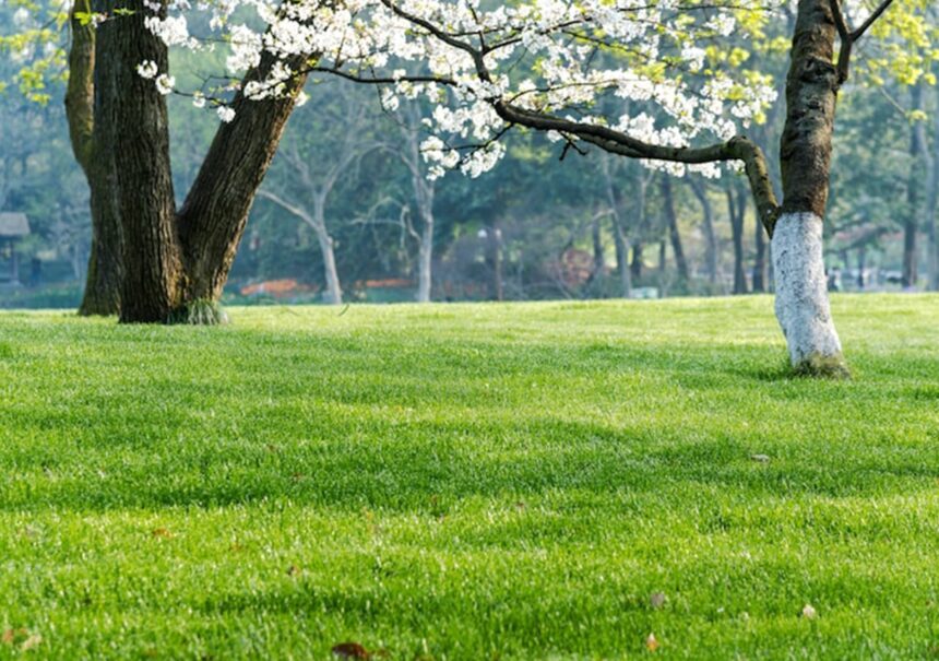 Dónde está el Jardín del Arte en Puebla