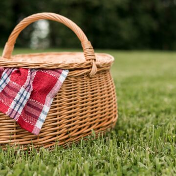 Parque Lago de la Concordia, ¡un sitio que debes visitar sí o sí! 🌳