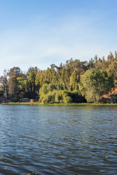 laguna de chapulco