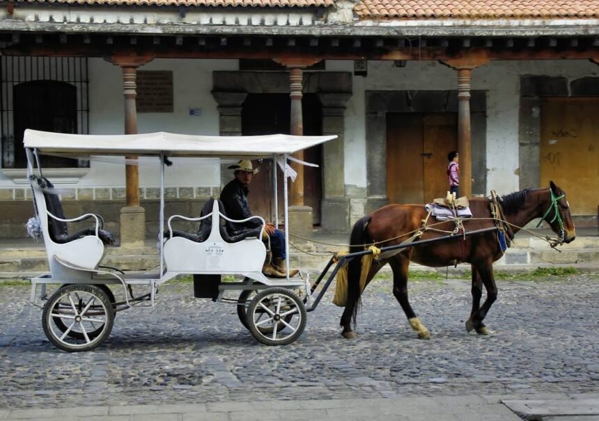 qué hacer en Puebla 1 día