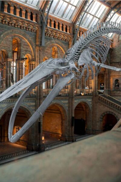 arquitectura del Museo Amparo