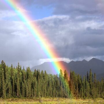 Arco Iris Sport Fishing