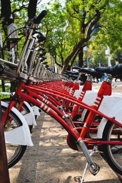 lugares para pasear en CDMX