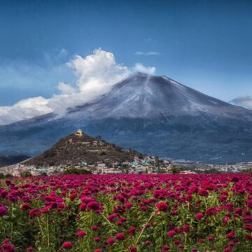 recomendaciones para visitar Puebla recomendaciones para visitar Puebla