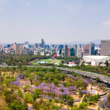 actividades culturales en los pinos