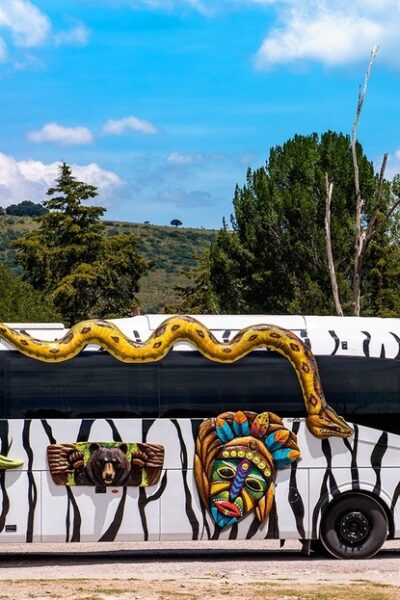 Africam Safari – ¡Recorrido en Semana Santa con Estrella Roja!