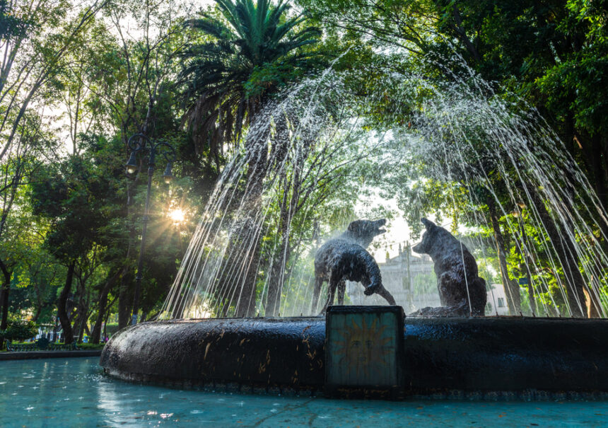 Centro de Coyoacán