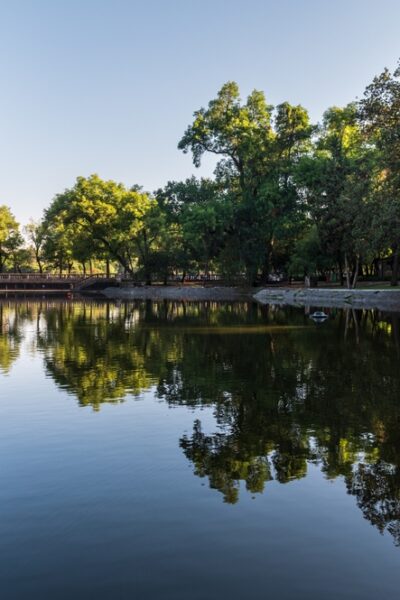 Bosque de Chapultepec