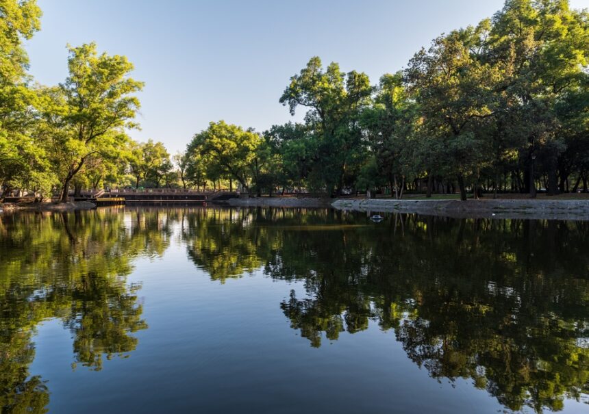 Bosque de Chapultepec