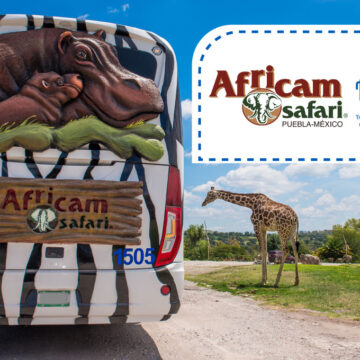 Africam Safari estrella roja
