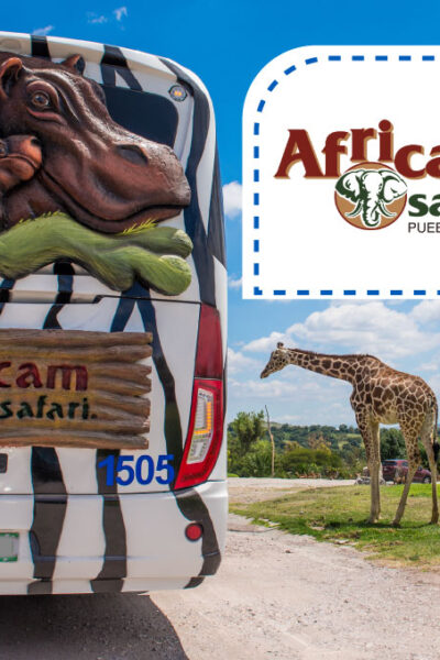 Africam Safari estrella roja
