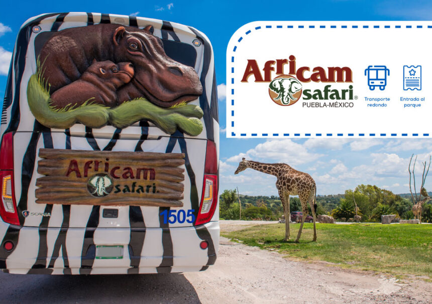 Africam Safari estrella roja
