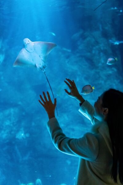 Acuario