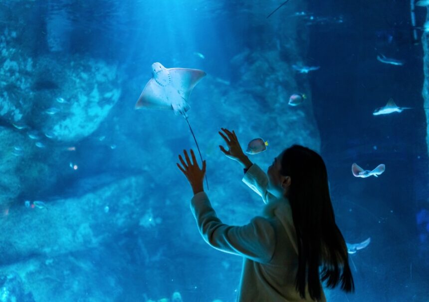 Acuario