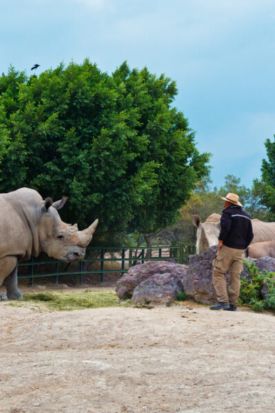 Africam Safari