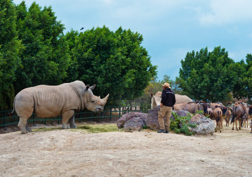 Africam Safari